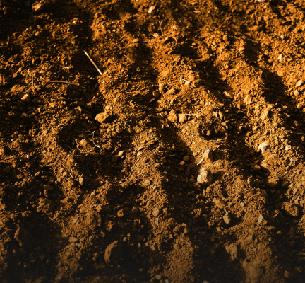Fertile Red Soil